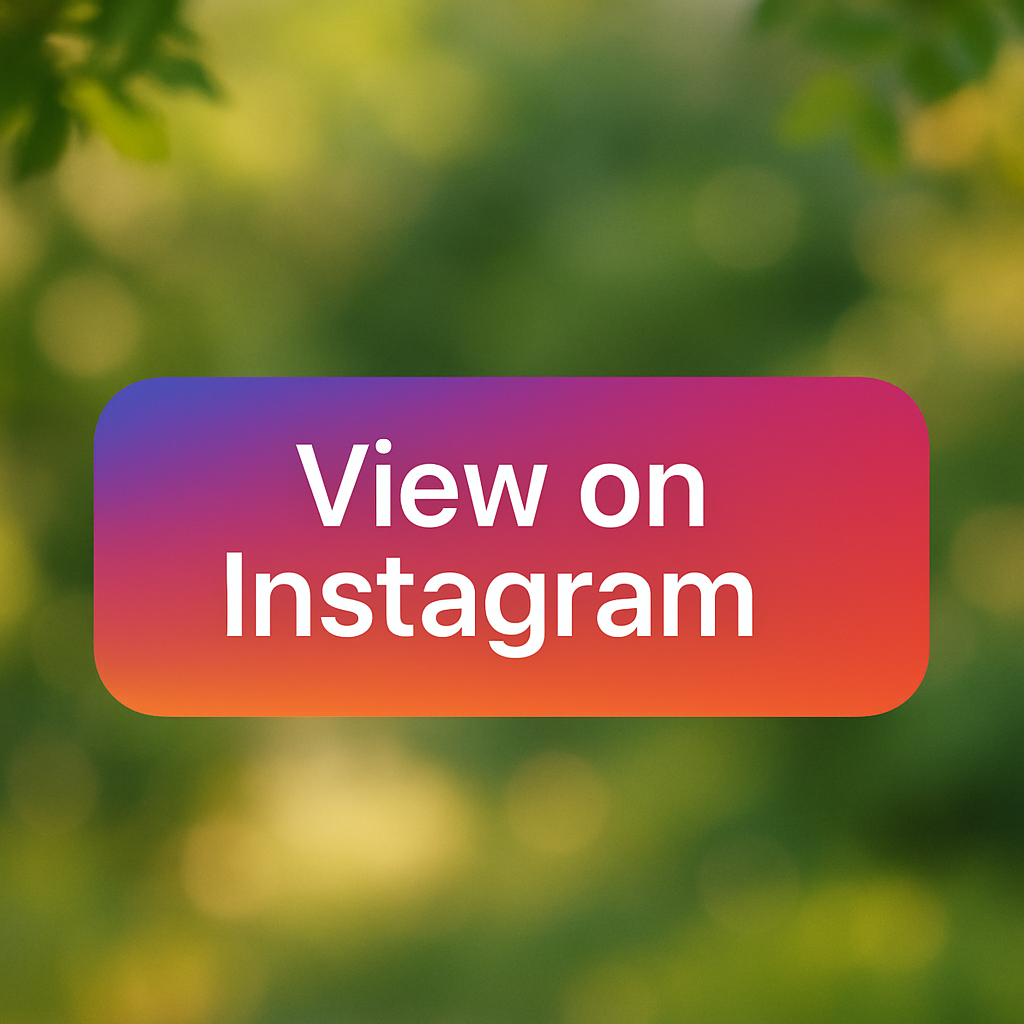 How to Get More Views on Instagram Reels in 2025 β Complete Growth Guide